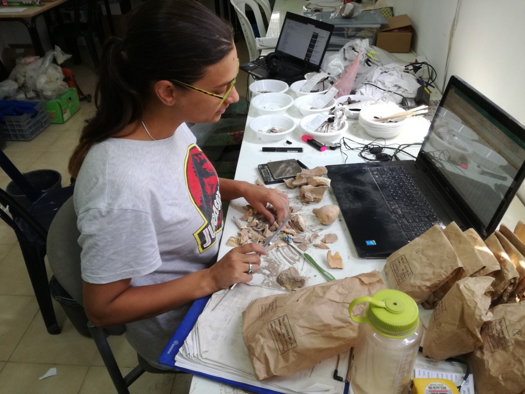 Dr Shyama Vermeersch working on an animal bone assemblage during fieldwork. She is sitting in front of a table, which has a laptop, water bottle, tools, and many fragmented animal bones.